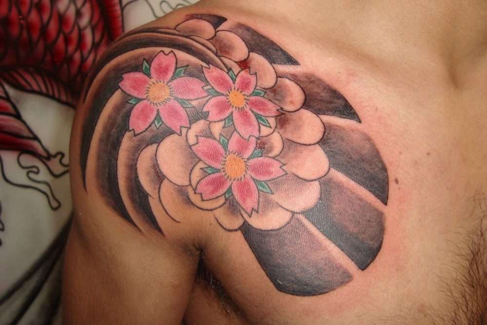 Tatuaje grande sakura en hombro