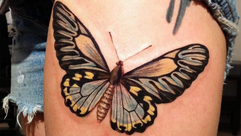 Tatuaje mariposa grande en colores