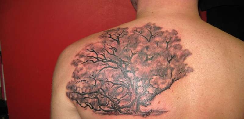 Tatuaje de árbol color rosa