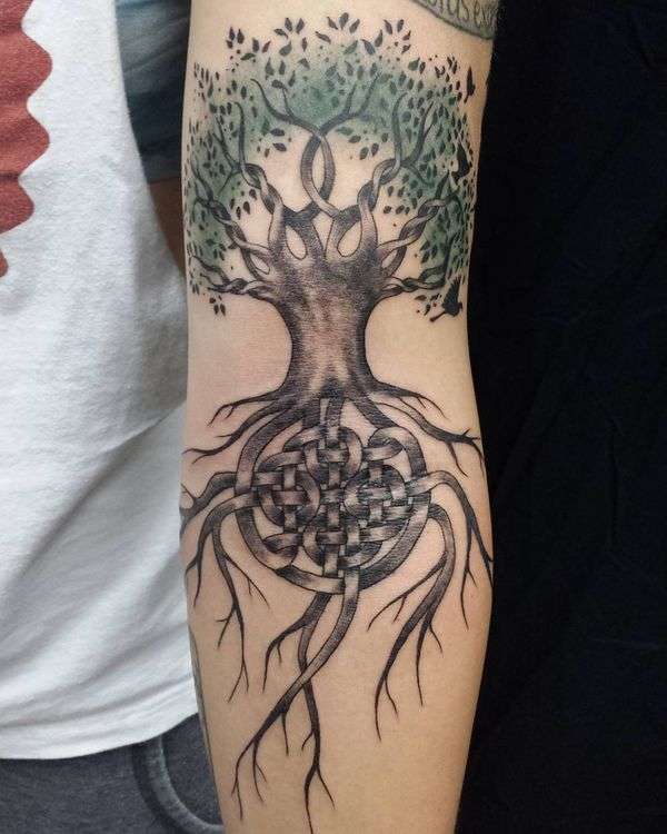 Tatuaje de árbol - raíz de lazo celta