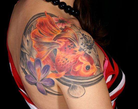 Tatuaje de pez koi en el hombro