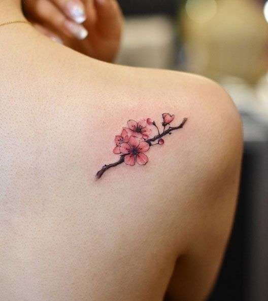 Tatuaje pequeño de flor de cerezo en omóplato