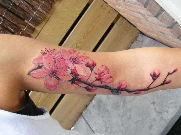 Tatuaje de flores de cerezo en el brazo