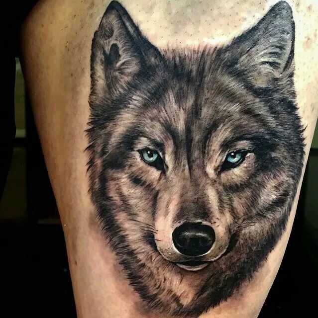 Los 100 Tatuajes de Lobo y Sus Significados