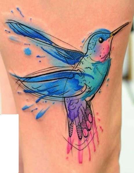 Tatuaje de colibrí estilo bosquejo