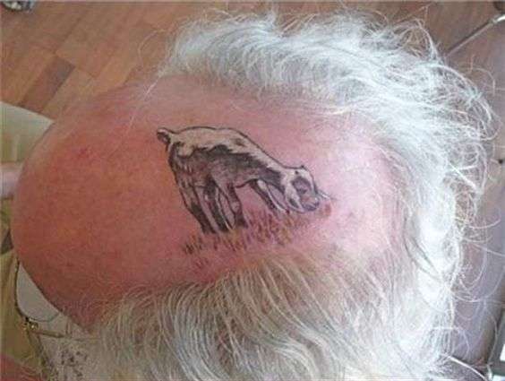 Funny tattoos: goat grazing