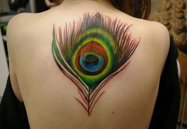 Tatuaje de pluma de pavo real en la espalda