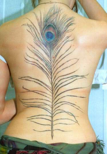 Tatuaje de pluma grande en la espalda