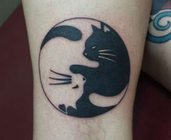 Tatuaje de gato negro y gato blanco