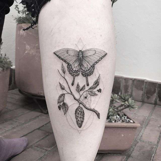 Tatuaje de mariposa y crisálida