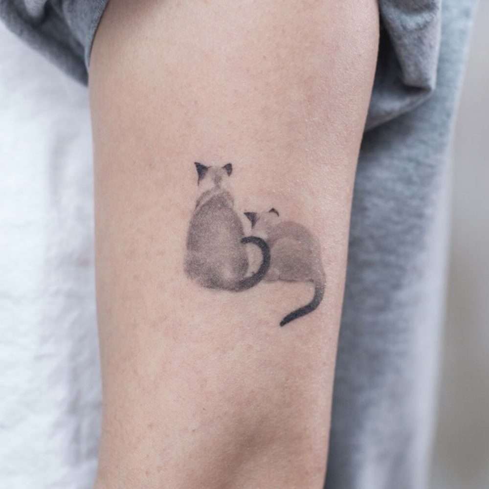Tatuaje de dos gatos