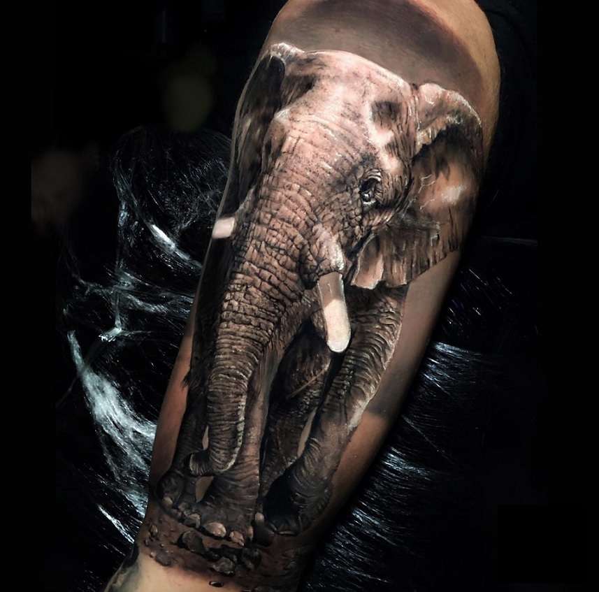 Tatuaje de elefante estilo realismo fotográfico