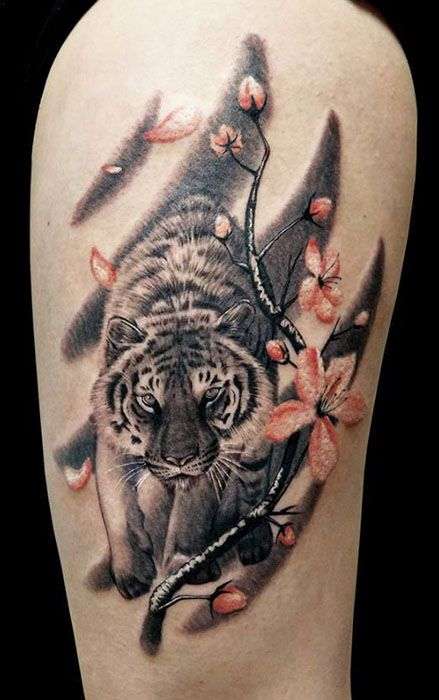 Tatuaje de tigre y flores de cerezo
