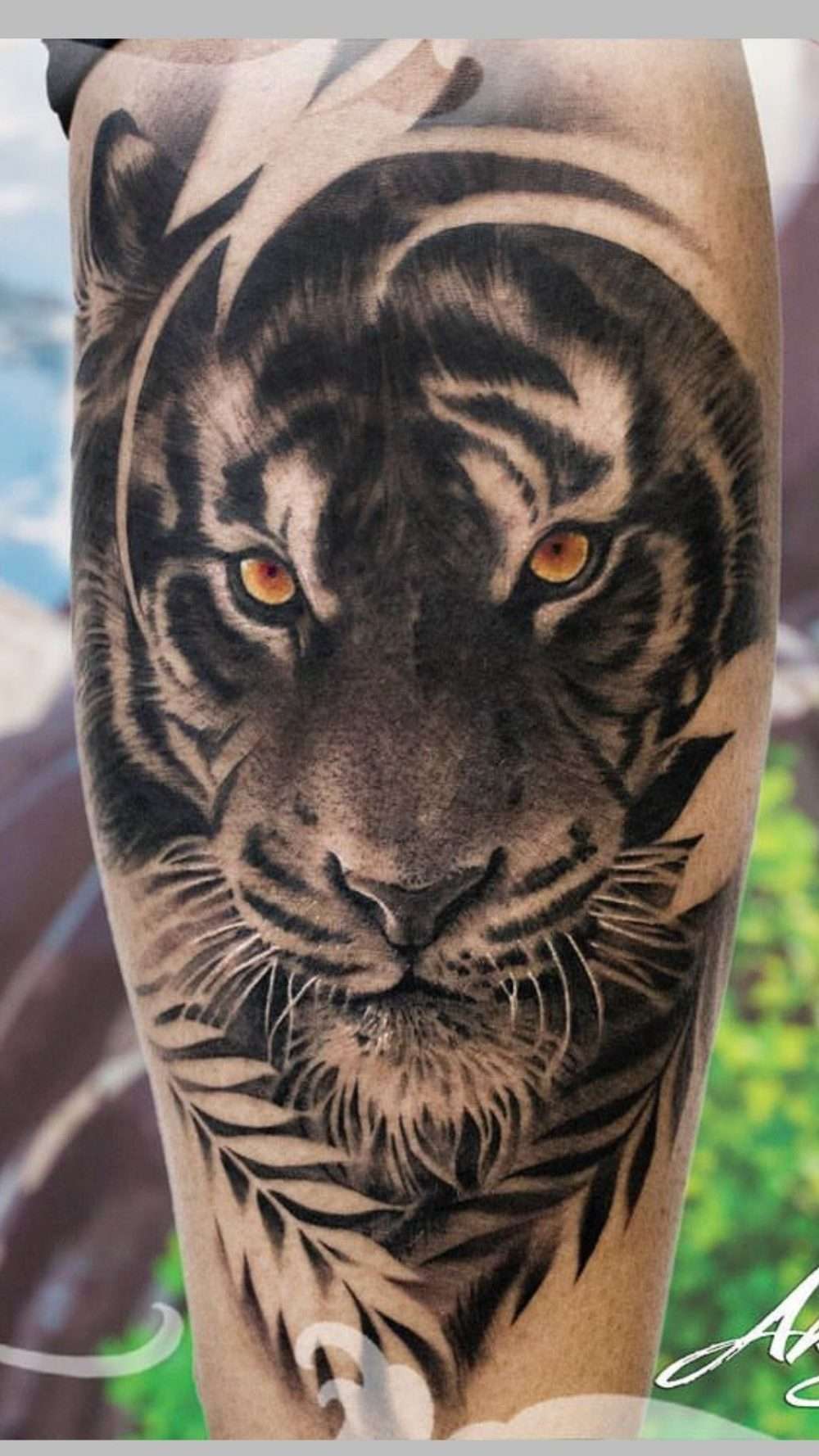 Tatuaje de tigre grande