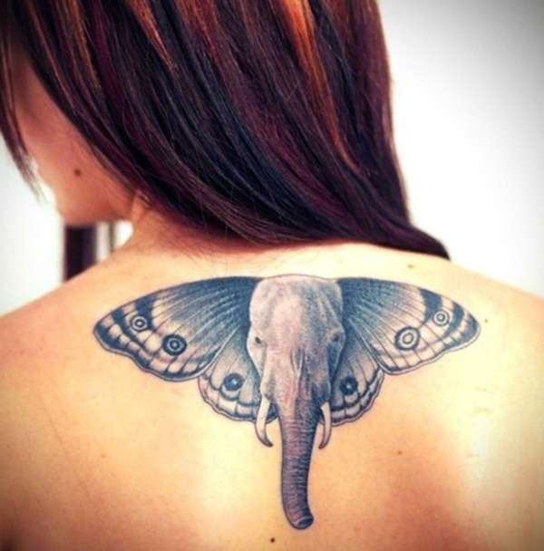 Tatuaje de elefante y mariposa