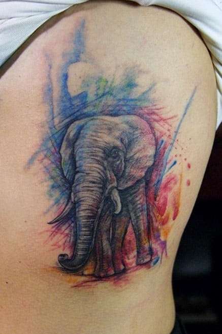 Tatuaje de elefante en colores