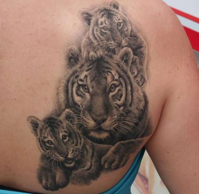 Tatuaje de familia de tigres