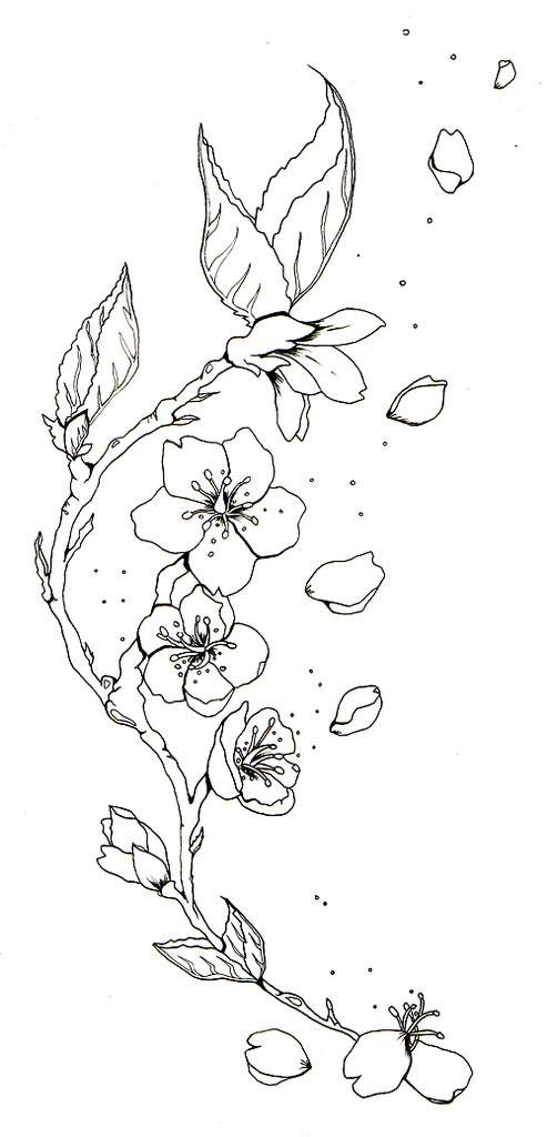 Dibujos de tatuajes: flores de cerezo