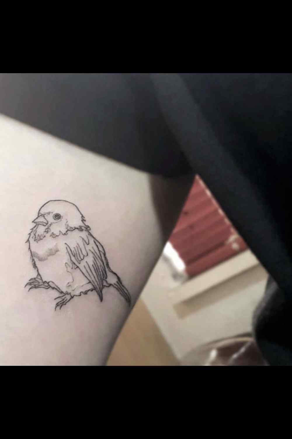 tatuajes de aves